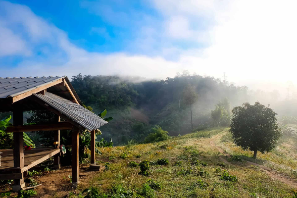 2D1N Doi Inthanon Trekking Tour - photo 6